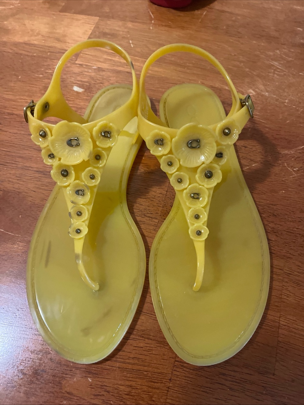 Coach Tea Rose Jelly Sandals Canaro Size 10